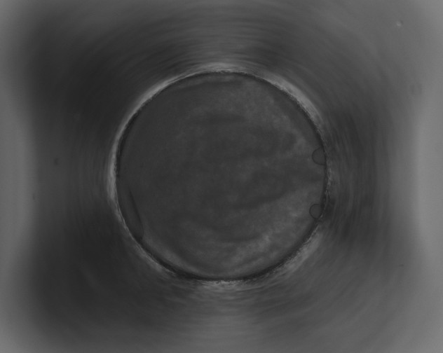 X0000100920902200807151219