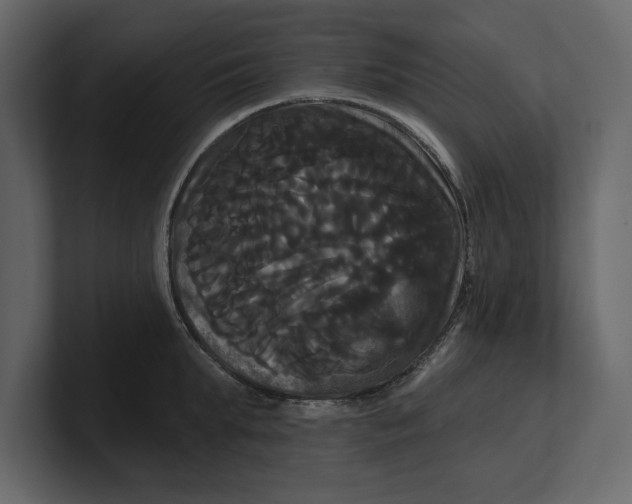 X0000100920903200807151219