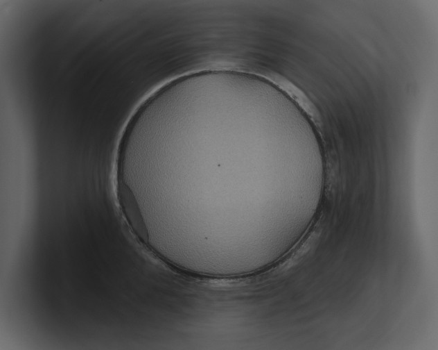 X0000100920904200807151219