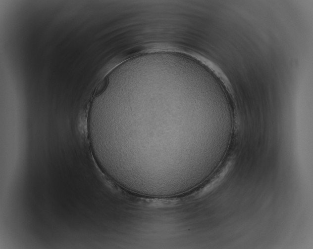 X0000100920905200807151219