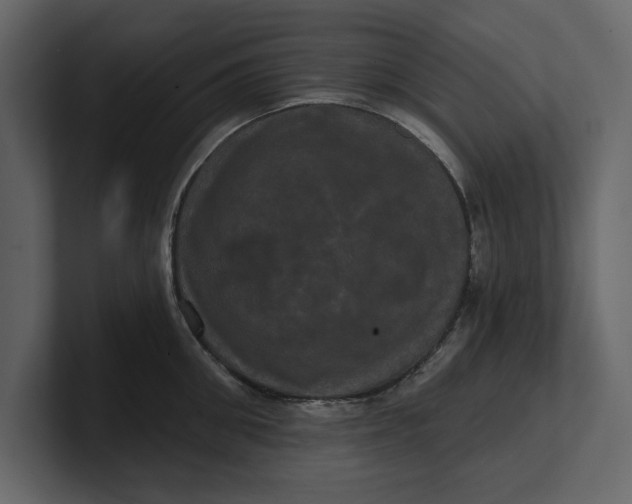 X0000100920906200807151219