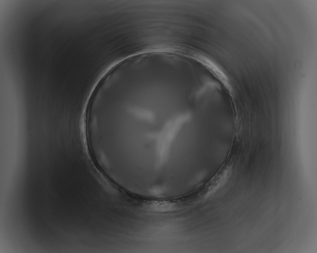 X0000100920907200807151219