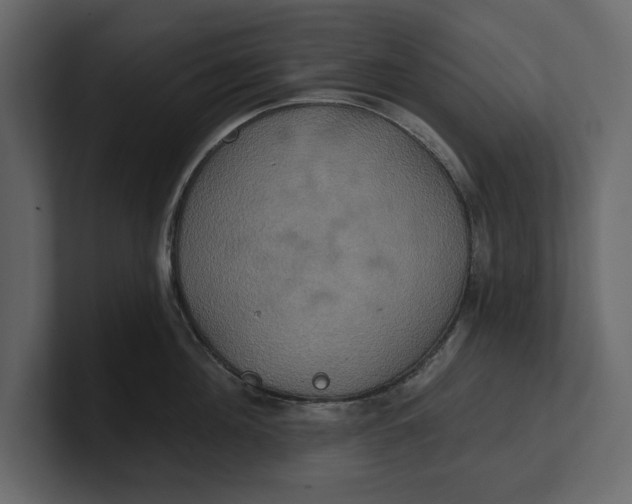 X0000100920908200807151219