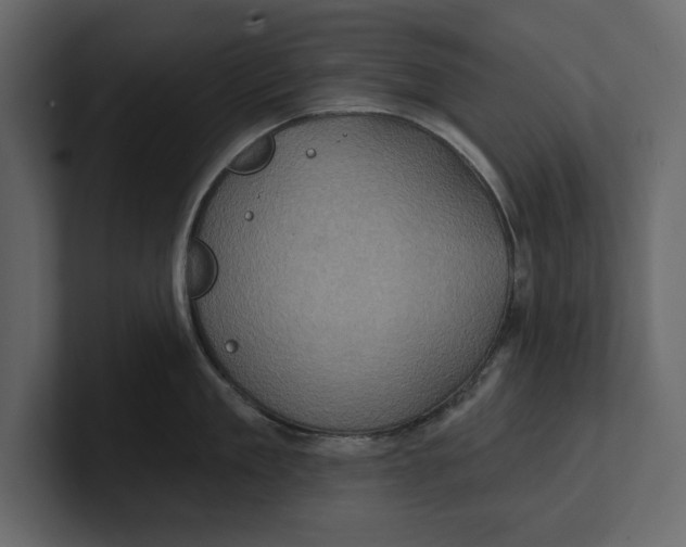 X0000100920909200807151219