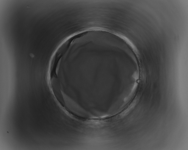 X0000100920910200807151219