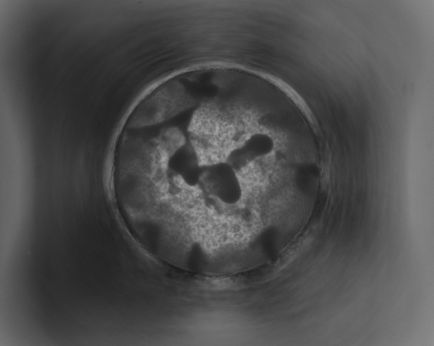 X0000100920911200807151219