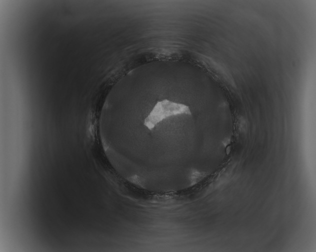 X0000100920914200807151218