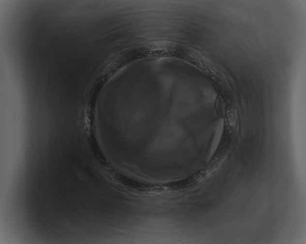 X0000100920916200807151218