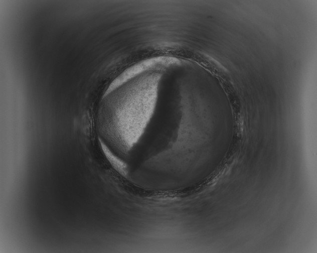 X0000100920917200807151218