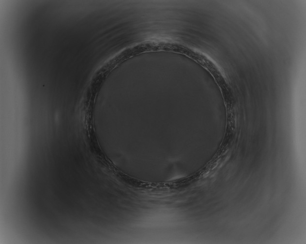 X0000100920919200807151218