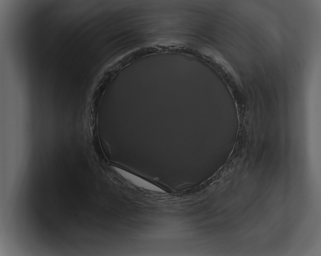 X0000100920920200807151218