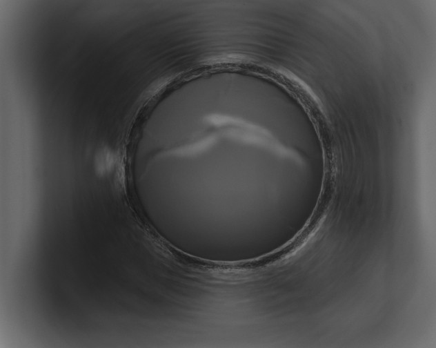 X0000100920921200807151219