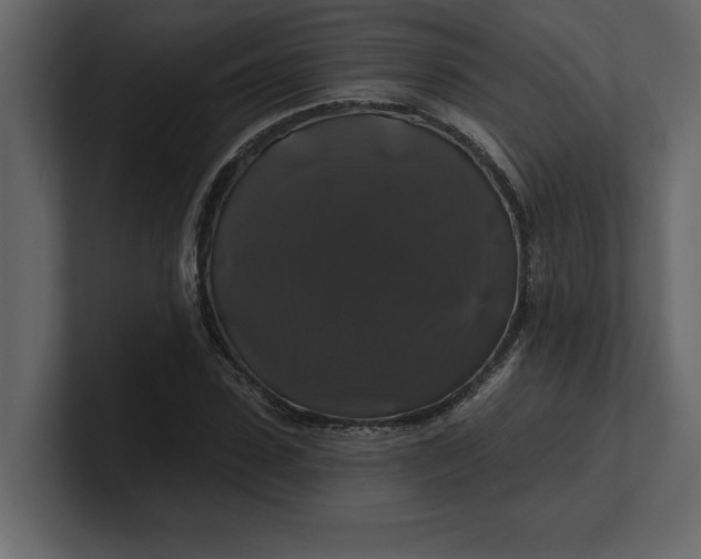 X0000100920923200807151219