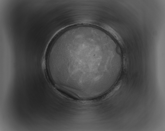 X0000100920924200807151219