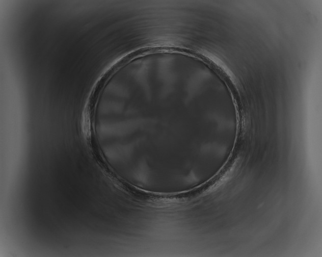 X0000100920925200807151219