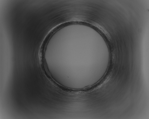 X0000100920926200807151219