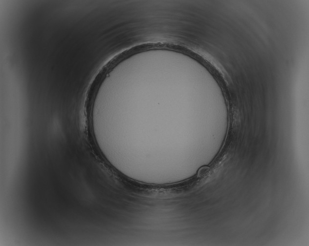 X0000100920927200807151219