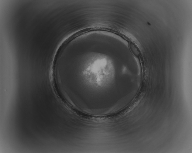 X0000100920928200807151219