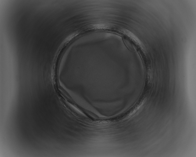 X0000100920930200807151219