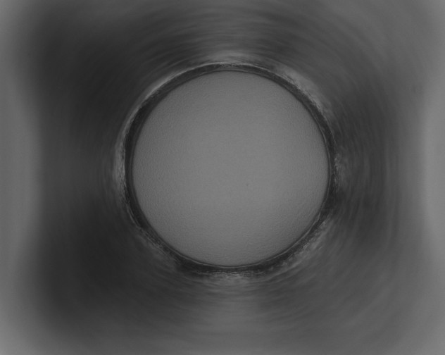 X0000100920931200807151219