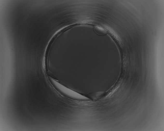 X0000100920932200807151219