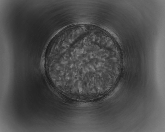 X0000100920933200807151219