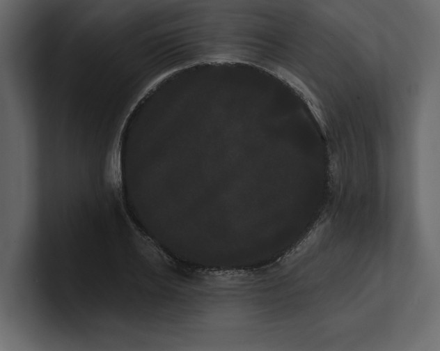 X0000100920934200807151219