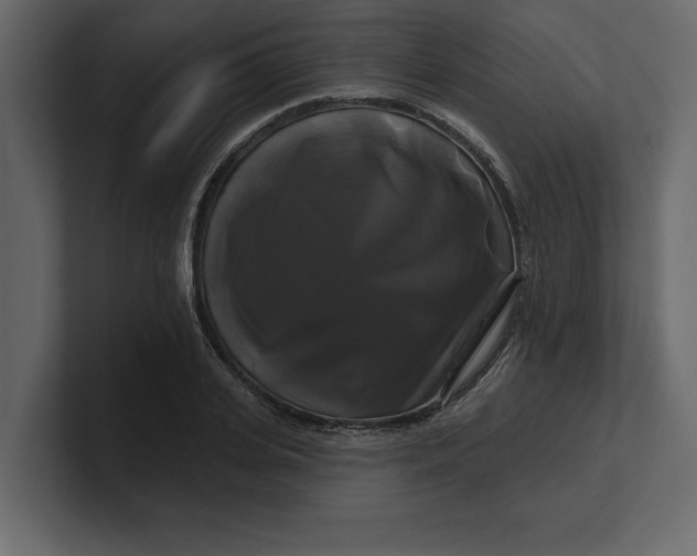 X0000100920935200807151219