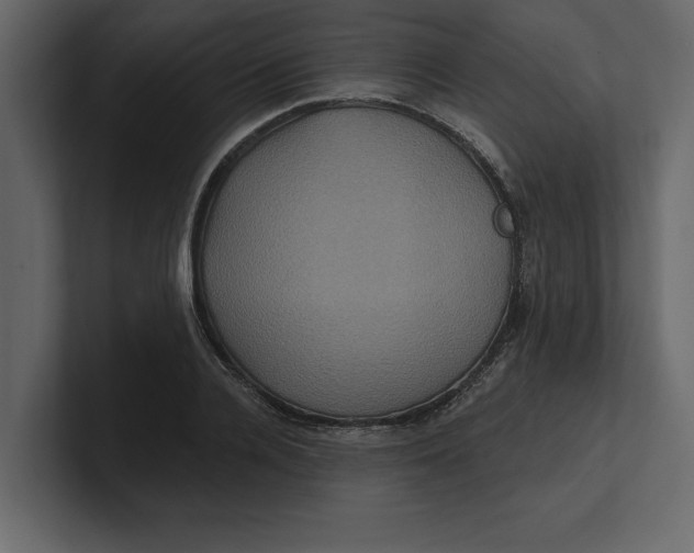 X0000100920936200807151219