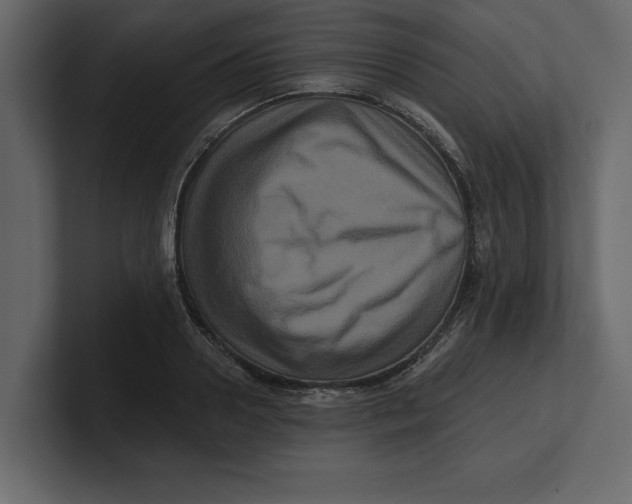 X0000100920938200807151219