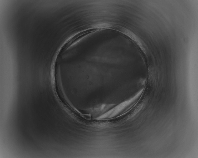 X0000100920939200807151219