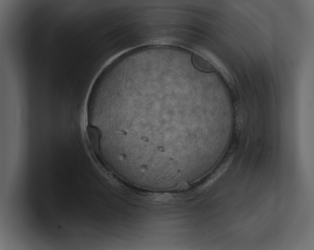 X0000100920940200807151219