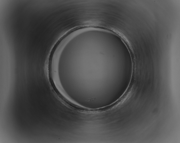 X0000100920941200807151219