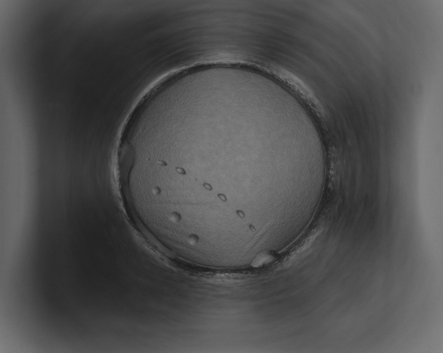 X0000100920942200807151219