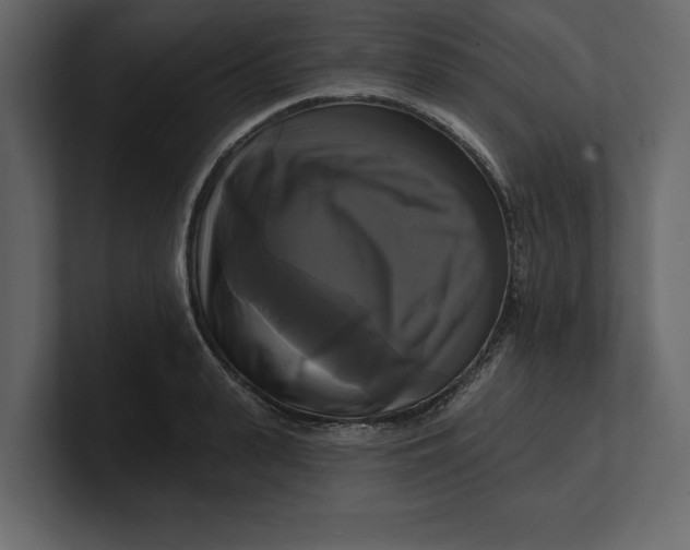 X0000100920943200807151219