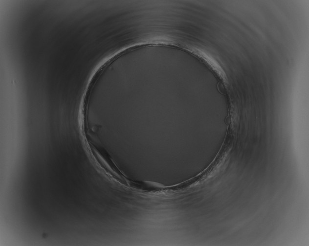 X0000100920944200807151219