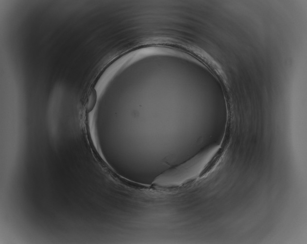 X0000100920945200807151219