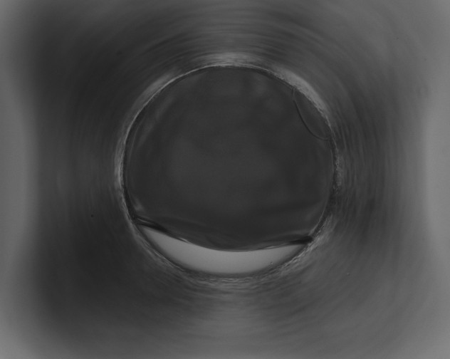 X0000100920946200807151219