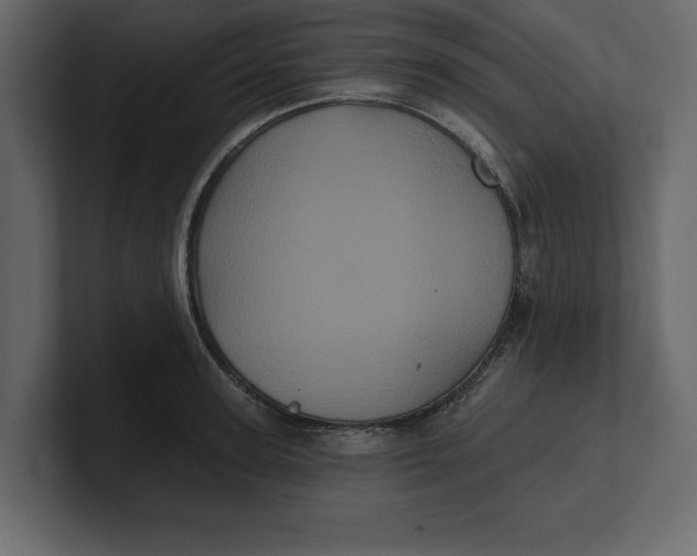 X0000100920947200807151219