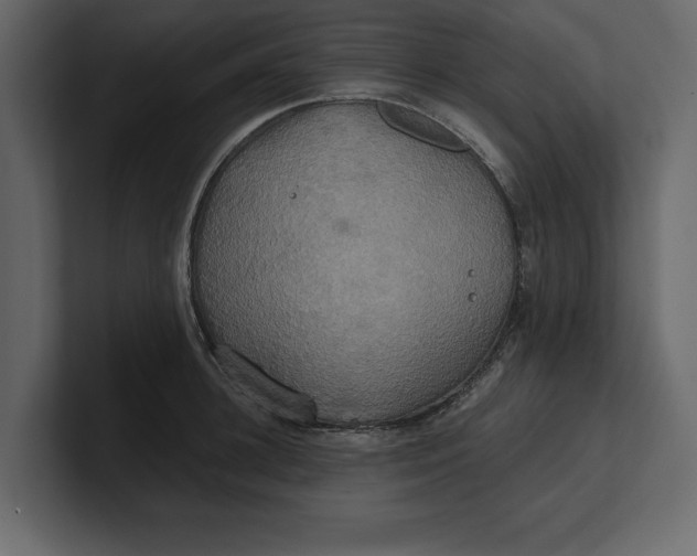 X0000100920948200807151219