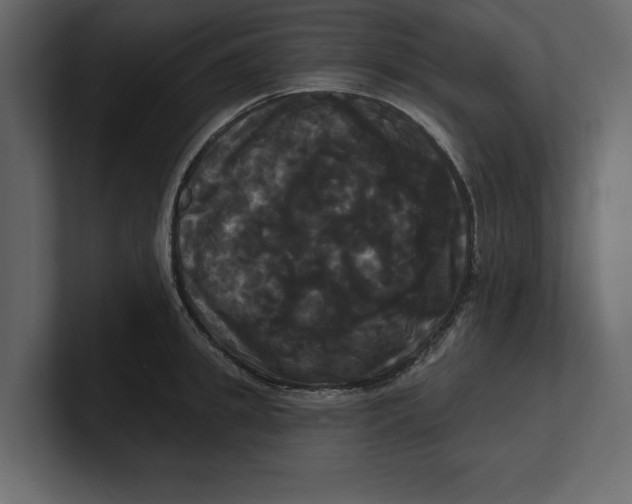 X0000100920949200807151219