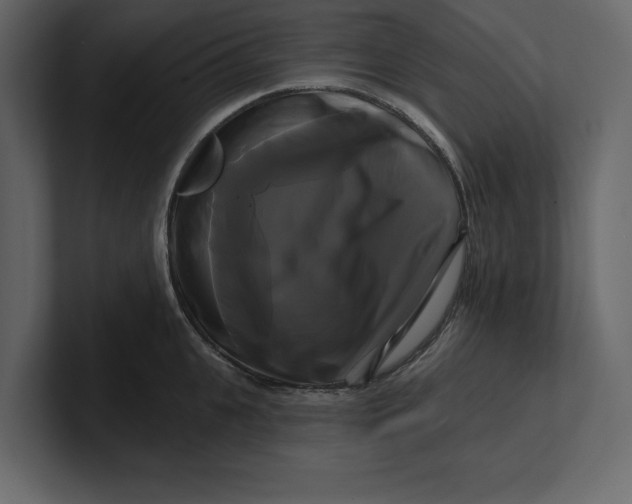 X0000100920951200807151219