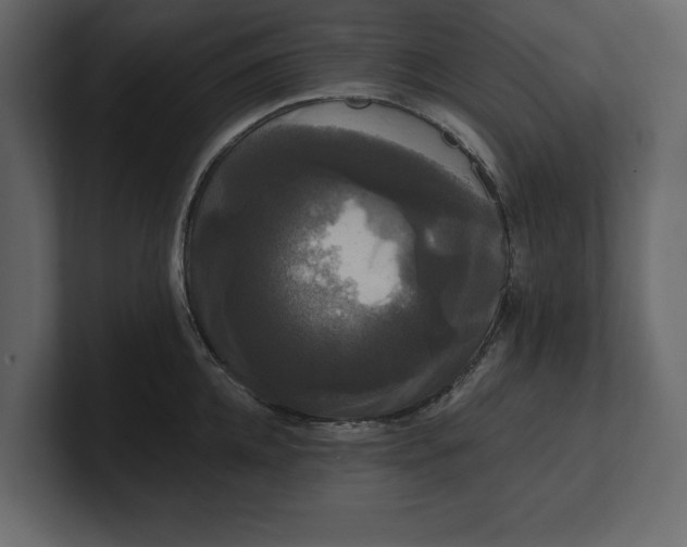 X0000100920952200807151219