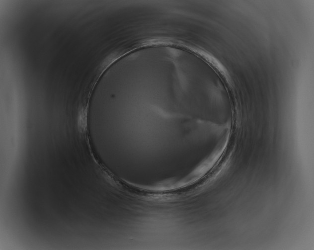 X0000100920953200807151219