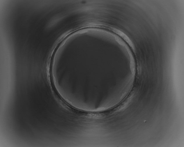 X0000100920954200807151219