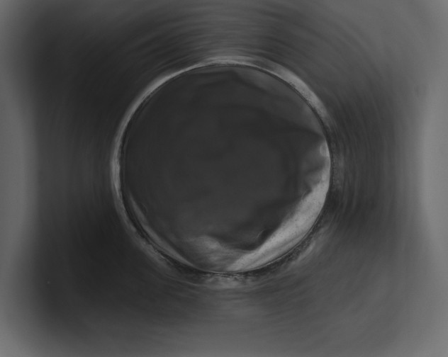 X0000100920955200807151219