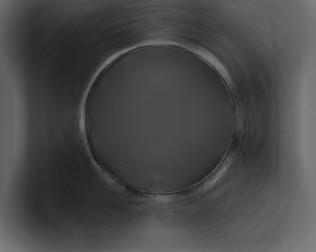 X0000100920958200807151219