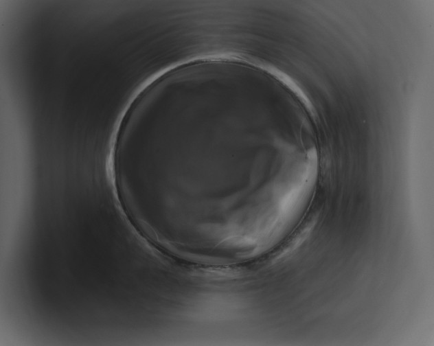 X0000100920959200807151219