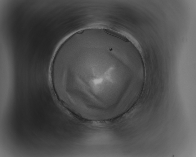 X0000100920960200807151219