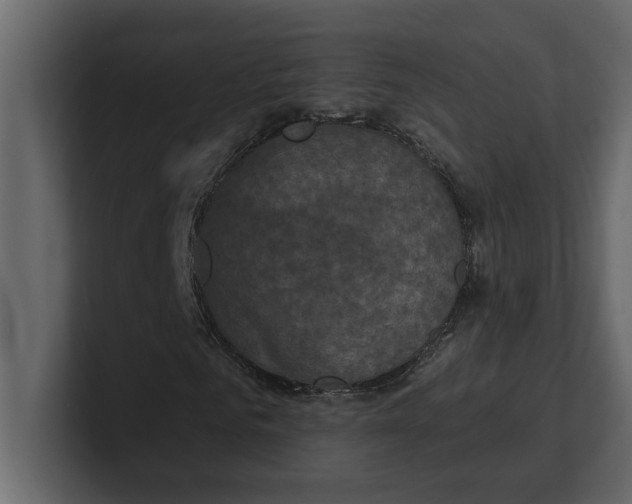 X0000100920961200807151218